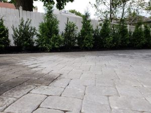 patio landscaping and fencing in Palisaides Park 5
