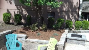 pest control bergen county