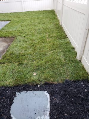 sodding and much job in Leonia NJ