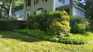 sodding job in Englewood Cliffs NJ