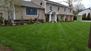 Cliffside Park Landscape Design