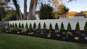 Cliffside Park Lawn Care