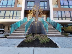 Business Landscaping Fair Lawn