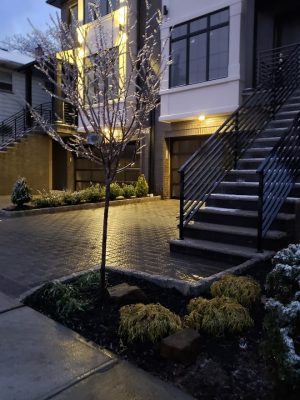 Commercial Landscaping Hackensack