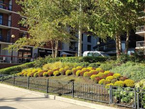 Hardscaper Fort Lee