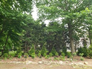 Hardscaper Teaneck