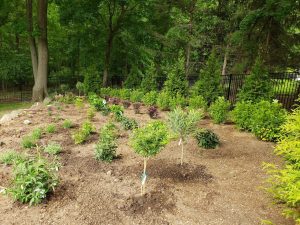 Hardscaping Teaneck