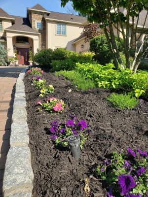 Landscape Lighting Fair Lawn