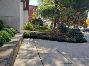 Landscape Lighting Fort Lee