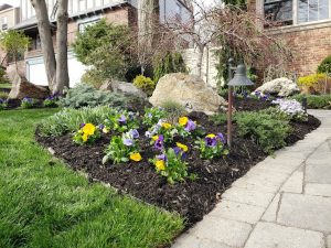 Landscaping Fair Lawn