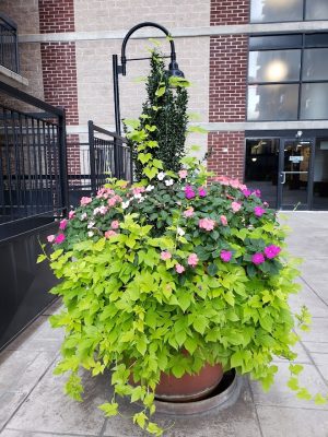 Landscaping Fort Lee