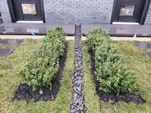 Lawn Care Bergen County