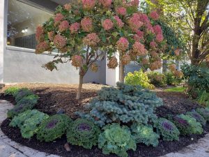 Lawn Care Fort Lee