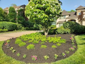 Lawn Maintenance Fair Lawn