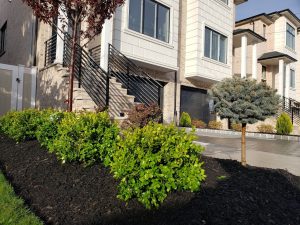 Lawn Maintenance Teaneck