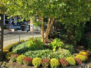 New Pavers Fort Lee