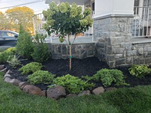 Paver Patios Hackensack