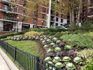 Paver Stairs Fort Lee