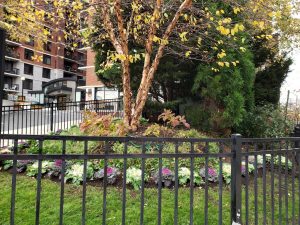 Paver Stoop Fort Lee