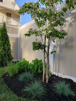 Retaining Wall Bergen County