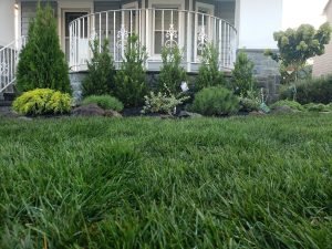 Retaining Wall Hackensack