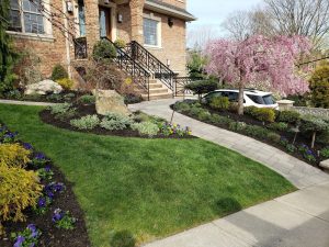 Snow Removal Fort Lee