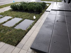 Yard Drainage Bergen County 1