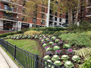 Yard Drainage Bergen County