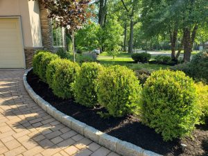 Yard Drainage Fair Lawn