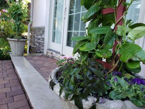 Yard Drainage Teaneck